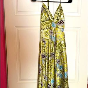 Miss Bison Floor Length Dress